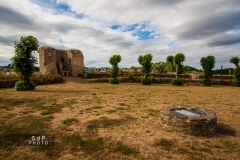 Lehon