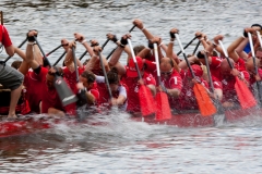 Course de bateaux