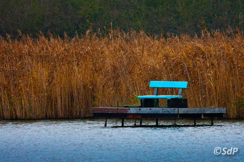 Le banc bleu