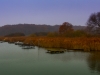 L'Etang