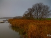 L'Etang