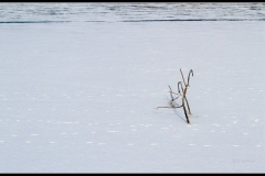 Carrière Merlebach (sortie PCCO)