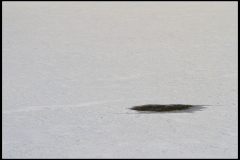 Carrière Merlebach (sortie PCCO)