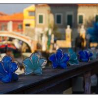 Fleurs de verre
