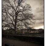 Sarrebrück Décembre 2012