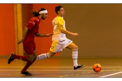 Foot en salle Crigler-Najjar 2012