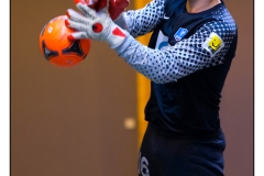 Foot en salle Crigler-Najjar 2012