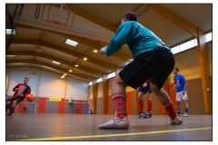 Foot en salle Crigler-Najjar 2012