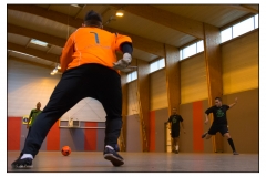 Foot en salle Crigler-Najjar 2012