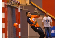 Foot en salle Crigler-Najjar 2012