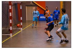 Foot en salle Crigler-Najjar 2012