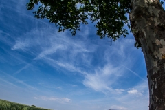 Rassemblement Grimteck