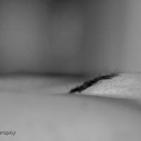 2015-sdp-photography-6277-3
