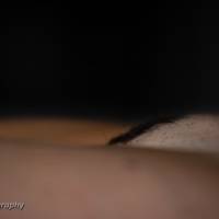 2015-sdp-photography-6277-4