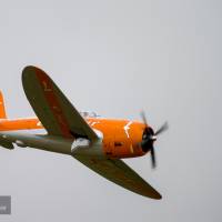 2015-sdp-photography-1613
