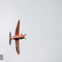2015-sdp-photography-1618