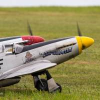 2015-sdp-photography-1766