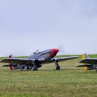 2015-sdp-photography-1771