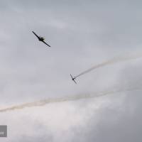 2015-sdp-photography-1786