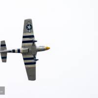 2015-sdp-photography-1828