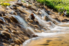Macro Jardin Franco-Allemand