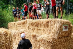 NaborRaid 2016