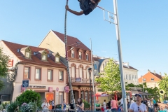 Masters perche en ville