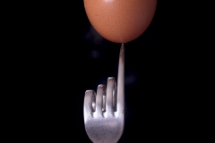 Couverts (photo non présentée)