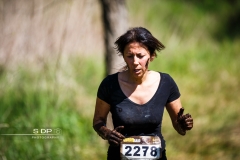 Narbor Raid 2017