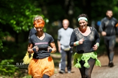 Narbor Raid 2017