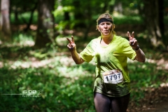 Narbor Raid 2017