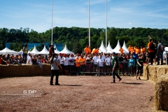 Narbor Raid 2017