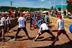 Narbor Raid 2017