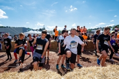 Narbor Raid 2017