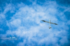 credit-photo-sdp-photography-mention-legale-obligatoire-photo-nr-8383