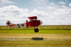 credit-photo-sdp-photography-mention-legale-obligatoire-photo-nr-8507