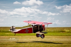 credit-photo-sdp-photography-mention-legale-obligatoire-photo-nr-8511