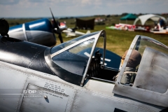 credit-photo-sdp-photography-mention-legale-obligatoire-photo-nr-8616