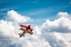 credit-photo-sdp-photography-mention-legale-obligatoire-photo-nr-8691