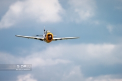 credit-photo-sdp-photography-mention-legale-obligatoire-photo-nr-8736