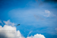 credit-photo-sdp-photography-mention-legale-obligatoire-photo-nr-8769