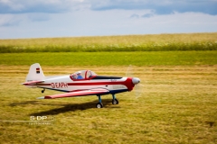 credit-photo-sdp-photography-mention-legale-obligatoire-photo-nr-8774-2