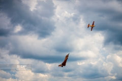 credit-photo-sdp-photography-mention-legale-obligatoire-photo-nr-8789