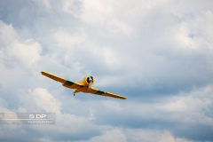 credit-photo-sdp-photography-mention-legale-obligatoire-photo-nr-8803