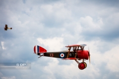 credit-photo-sdp-photography-mention-legale-obligatoire-photo-nr-8819
