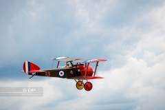 credit-photo-sdp-photography-mention-legale-obligatoire-photo-nr-8822