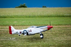 credit-photo-sdp-photography-mention-legale-obligatoire-photo-nr-8853