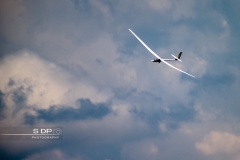 credit-photo-sdp-photography-mention-legale-obligatoire-photo-nr-8997